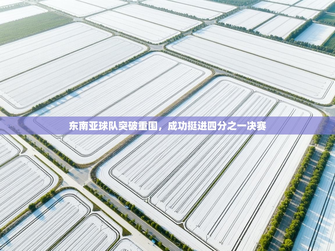 东南亚球队突破重围,成功挺进四分之一决赛 第2张