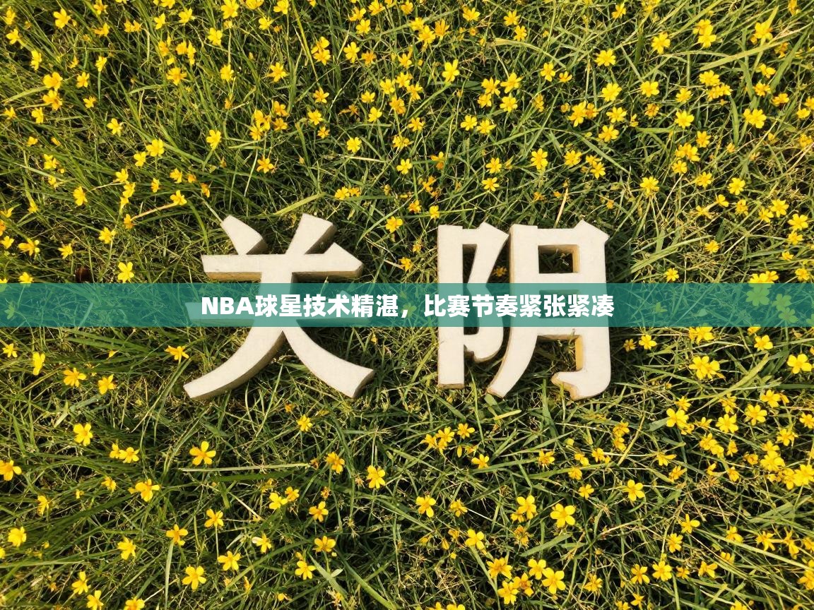 NBA球星技术精湛，比赛节奏紧张紧凑  第2张