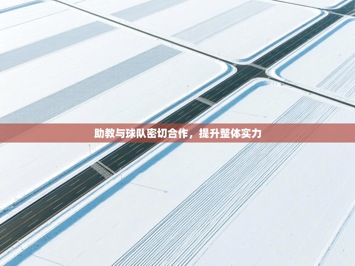 助教与球队密切合作,提升整体实力 第2张