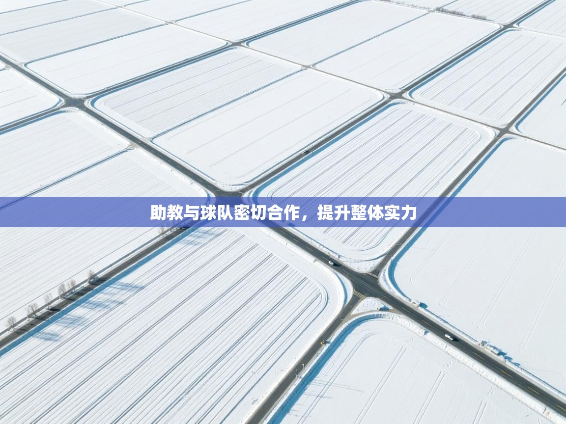 助教与球队密切合作,提升整体实力 第1张